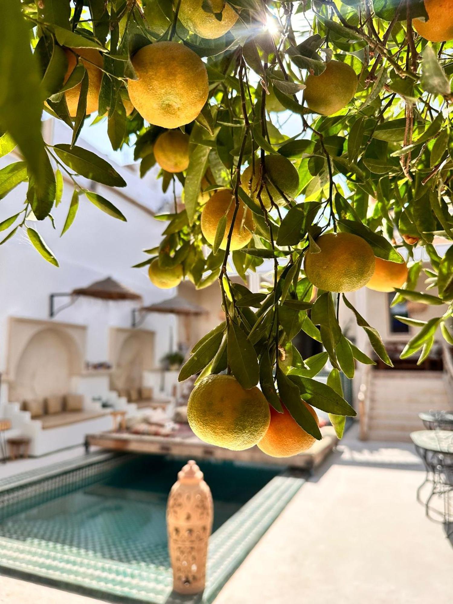 Dar Salam Souss Bed & Breakfast Taroudant Luaran gambar